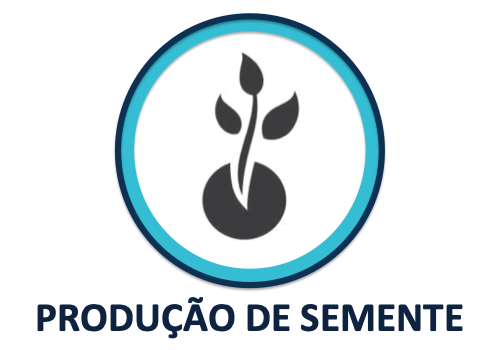 Captura-de-Tela-2019-10-13-às-19.28.56