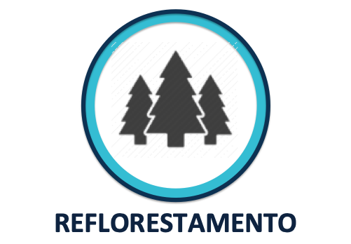 Captura-de-Tela-2019-10-13-às-19.31.36